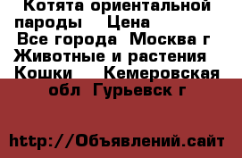 Котята ориентальной пароды  › Цена ­ 12 000 - Все города, Москва г. Животные и растения » Кошки   . Кемеровская обл.,Гурьевск г.